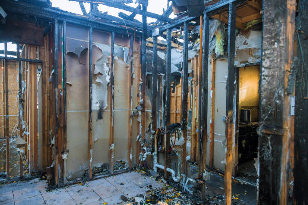 Professional Fire Damage Removal technician working in Lake Elmo, MN